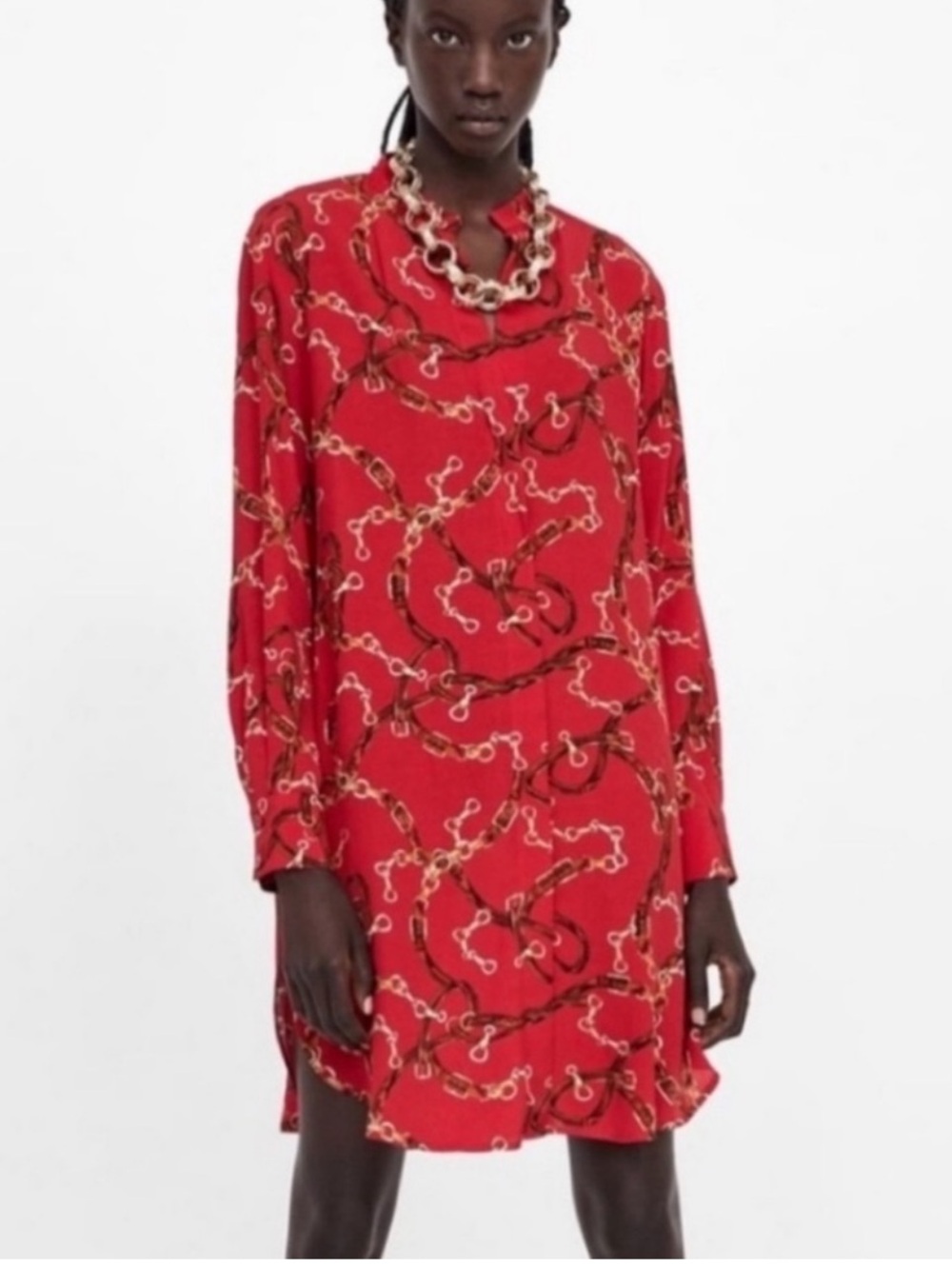 Zara | Dress | Shirt Dress